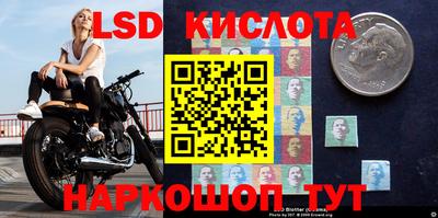Альфа ПВП Краснодар