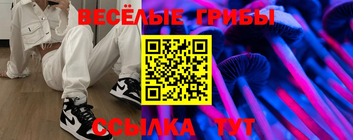купить закладку  Вход с VPN  Кириши  Галлюциногенные грибы прущие грибы 